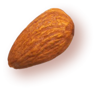 Photo of an almond