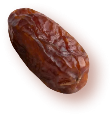 Photo of a date fruit
