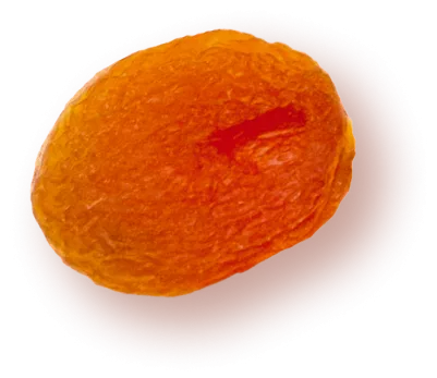 Photo of a dried apricot